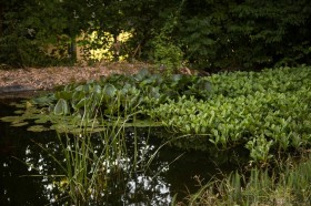 Pause und Erholung_012